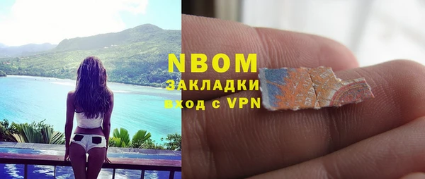 таблы Гусев