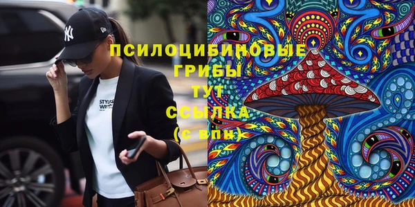 первитин Гусь-Хрустальный