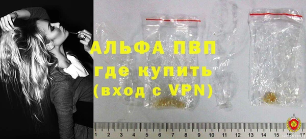 таблы Гусев