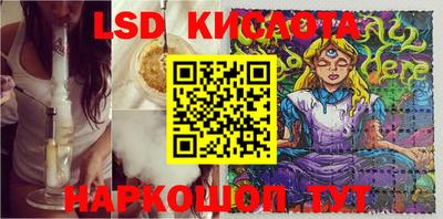 дурь Кудрово