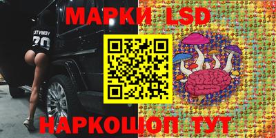 мяу мяу мука Кузнецк