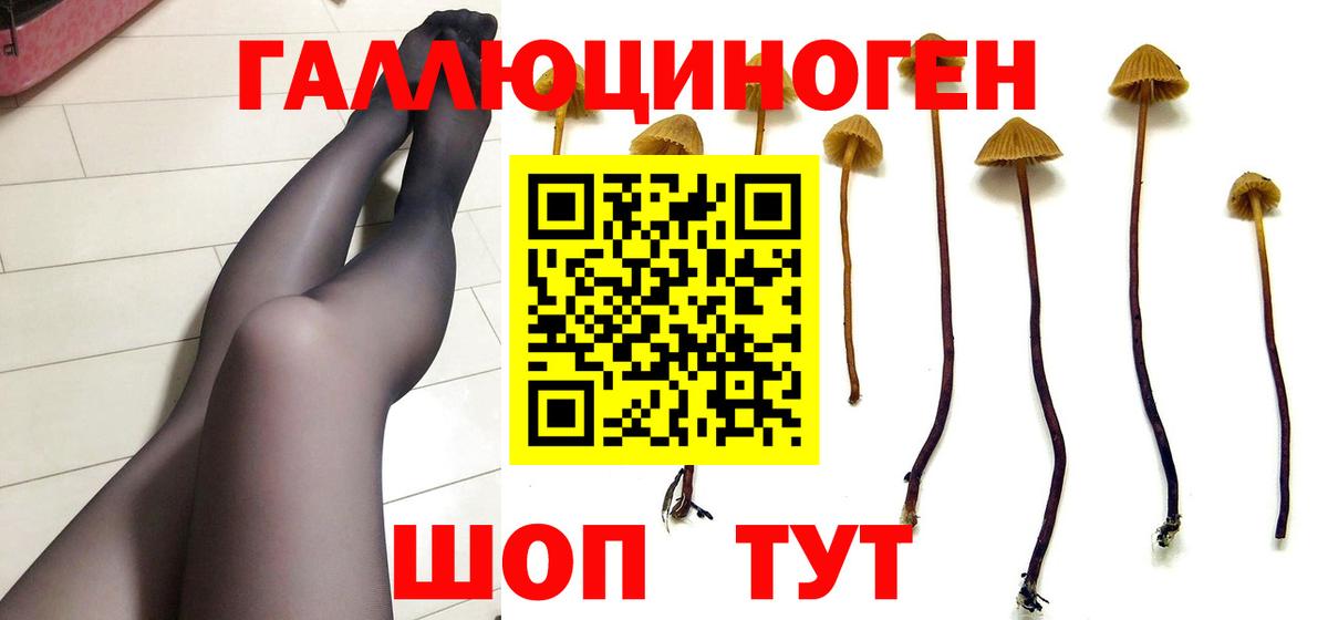 Псилоцибиновые грибы MAGIC MUSHROOMS  Псилоцибиновые грибы GOLDEN TEACHER  Вход с VPN  Заринск 